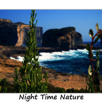 BlueMoon - Night Time Nature