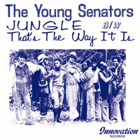 The Young Senators - Jungle b/w That's the Way It Is