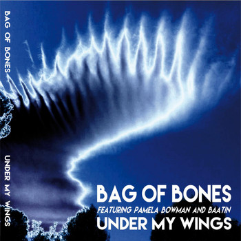 Bag Of Bones - Under My Wings
