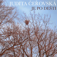 Judita Čeřovská - Je Po Dešti
