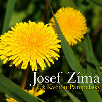 Josef Zíma - Už Květou Pampelišky