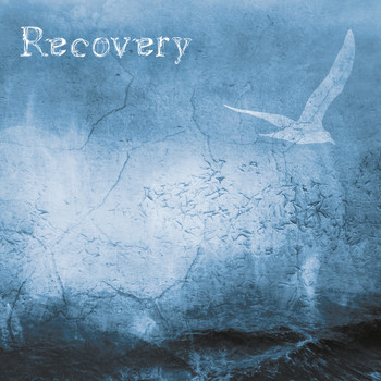 Various Artists - Recovery