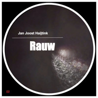 Jan Joost Haijtink - Rauw