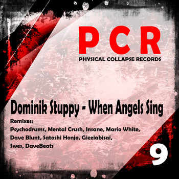 Dominik Stuppy - When Angels Sing