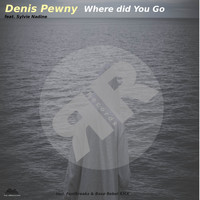 Denis Pewny feat. Sylvie Nadine - Where Did You Go