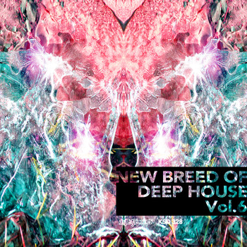 Various Artists - New Breed of Deep House Vol. 6