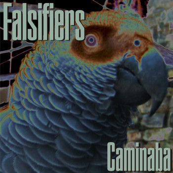 Falsifiers - Caminaba