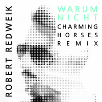 Robert Redweik - Warum Nicht (Charming Horses Remix)