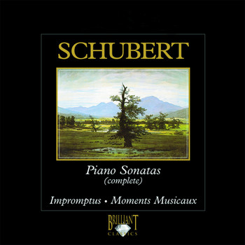 Various Artists - Schubert: Piano Sonatas (Complete)