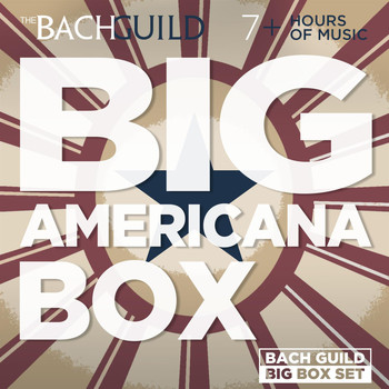 Various Artists - Big Americana Box