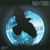 Birdy - Nightbird