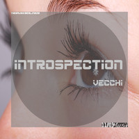 Vecchi - Introspection
