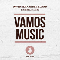 David Bernardi, Flood - Lost in My Mind