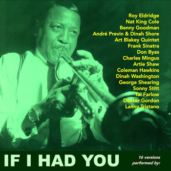 Various Artists - If I Had You (16 Versions Performed By:)