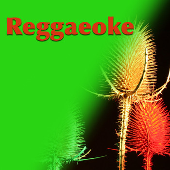 Various Artists - Reggaeoke
