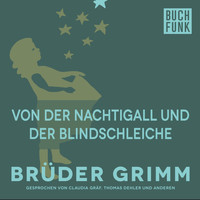 Brüder Grimm - Von der Nachtigall und der Blindschleiche