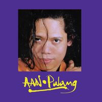 Aan - Pulang