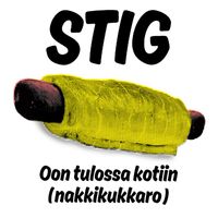 STIG - Oon tulossa kotiin (nakkikukkaro)
