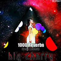 Green Ketchup - 1000 Reverbs