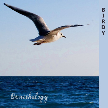 Birdy - Ornithology