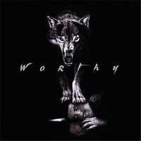 Zev - Worthy (Radio Edit)