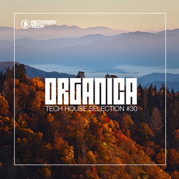 Various Artists - Organica #30