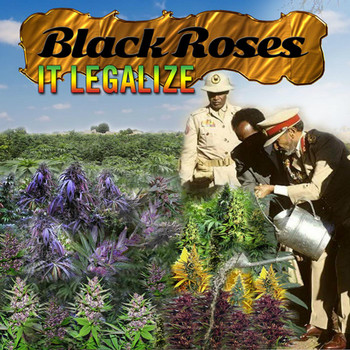 Barrington Levy - Black Roses It Legalize