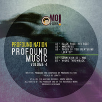 Profound Nation - Profound Music, Vol. 4