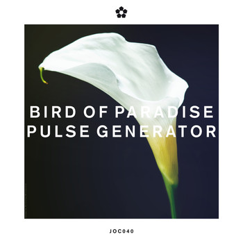 Bird of Paradise - Pulse Generator