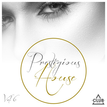 Various Artists - Prestigious House, Vol. 6 (Explicit)