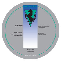 Blawan - What You Do with What You Have
