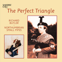 Richard Butler - The Perfect Triangle