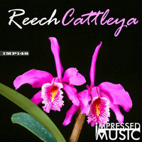 Reech - Cattleya