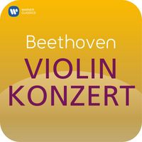 Nigel Kennedy/Polish Chamber Orchestra - Beethoven: Violinkonzert ("Masterworks")