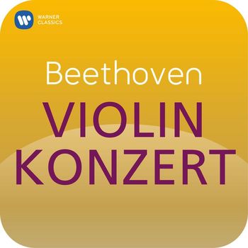 Nigel Kennedy/Polish Chamber Orchestra - Beethoven: Violinkonzert ("Masterworks")
