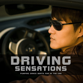 Various Artists - Driving Sensations (Pumping Dance Beats for in the Car)
