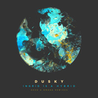 Dusky - Ingrid Is A Hybrid (Remixes Pt. 2)