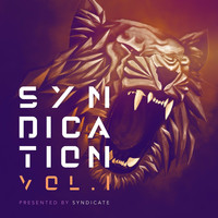Various - Syndication Vol .1 Presented by Syndicate