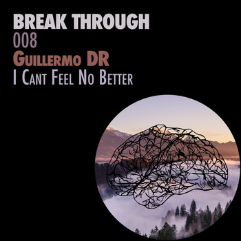Guillermo DR - I Can't Feel No Better