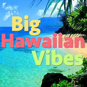 Various Artists - Big Hawaiian Vibes