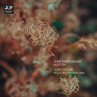 Joint Stock Galaxy - Hold On