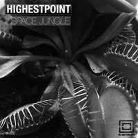 Highestpoint - Space Jungle