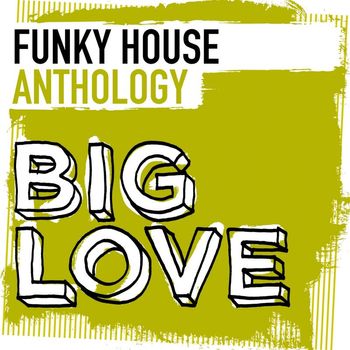 Various Artists - Big Love Funky House Anthology