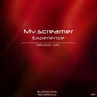 mv.screamer - Experience