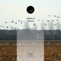 Mirbach - Swan