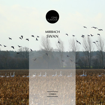 Mirbach - Swan