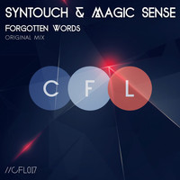 Syntouch & Magic Sense - Forgotten Words