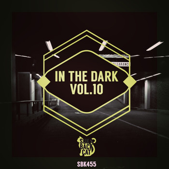 Various Artists - In the Dark Vol. 10