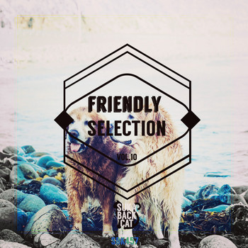 Various Artists - Friendly Selection Vol. 10