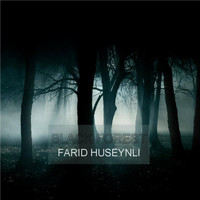 Farid Huseynli - Black Forest